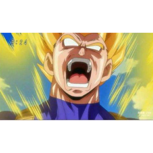 日本久久综合网
