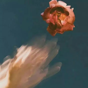 日本久久综合网
